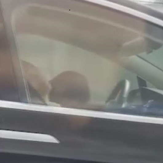 tesla surucusu arabada boyle uyudu