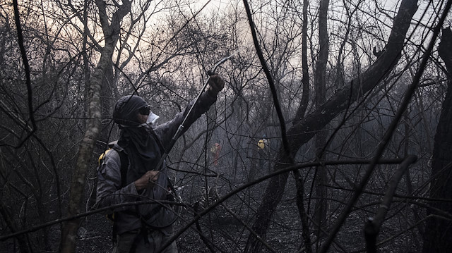 Bolivya orman yangınlarıyla mücadele ediyor.
