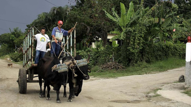 Küba Devlet Başkanı'ndan yakıt yetersizliği uyarısı.