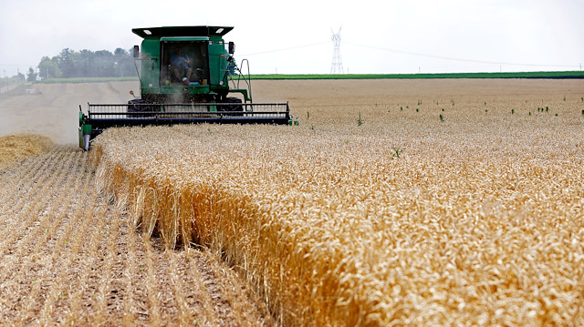 FILE PHOTO: A combine drives over stalks of soft red winter wheat during the harvest on a farm in Dixon, Illinoi