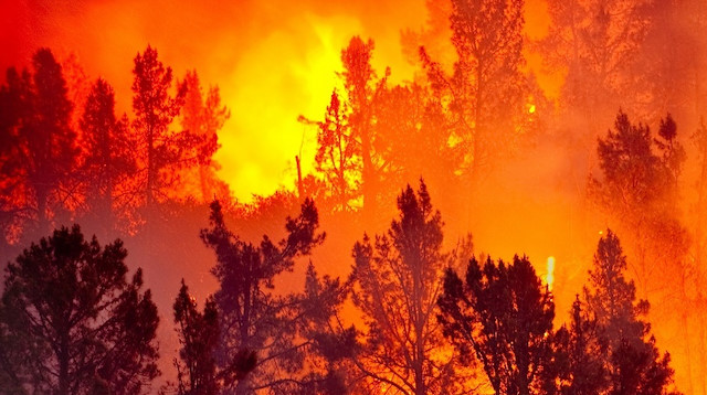 ​Yangın erken uyarı sistemi ile artık orman yangınlarına 20 saniye müdahale mümkün olacak.