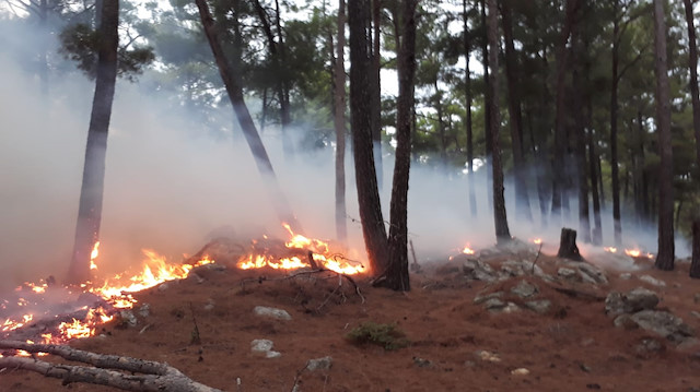 Antalya'daki yangında yaklaşık 2 dönüm orman alanı zarar gördü.