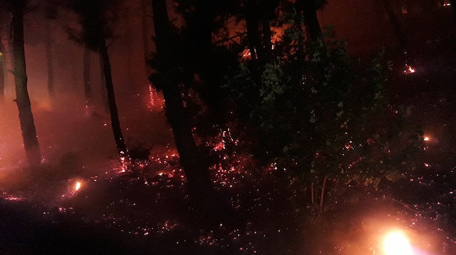 Yangında 3 hektar alan zarar gördü