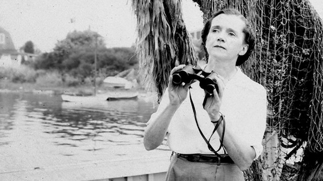 Environmentalist, author, and marine biologist Rachel Carson