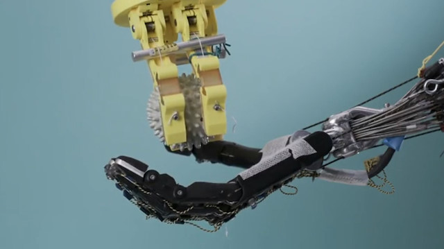 A'dan Z'ye: Robot eller neler yapabiliyor?