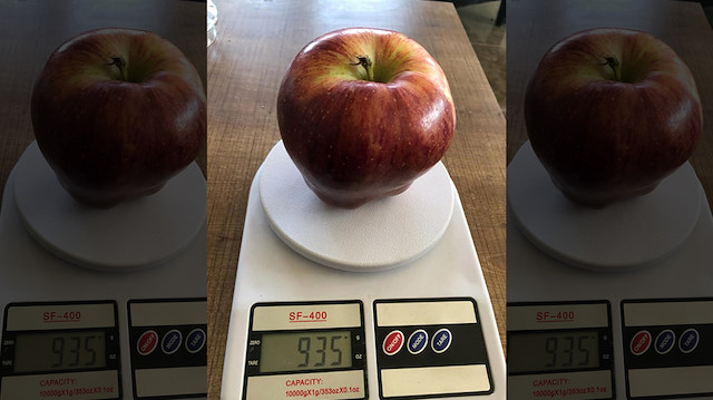 935 gram ağırlığındaki elma. 