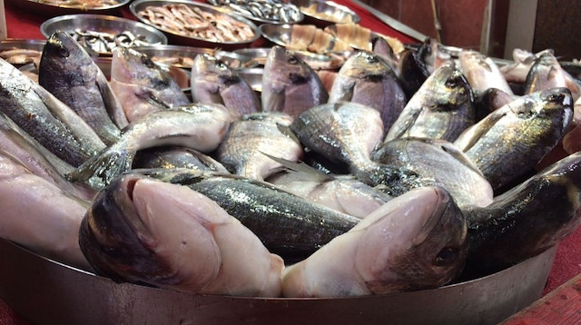 Balık fiyatlarında dalgalanma devam ediyor.
