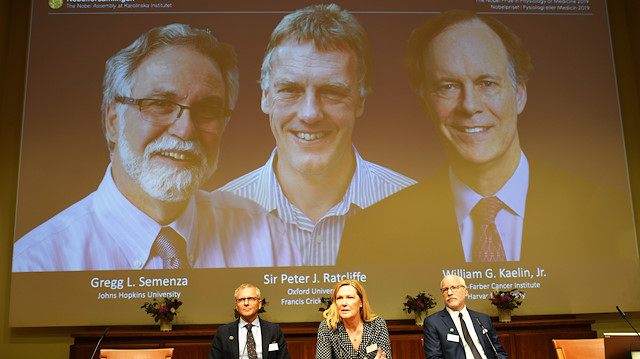 William G. Kaelin Jr, Sir Peter J. Ratcliffe and Gregg L. Semenza won the 2019 Nobel Prize