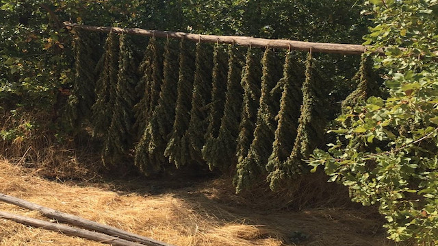 Diyarbakır Valiliğinden yapılan açıklamaya göre, İl Jandarma Komutanlığınca PKK'lı teröristlerin etkisiz hale getirilmesi, sığınak ve barınakların imha edilmesi, uyuşturucu üretimi ve ticaretini yapanlar arasındaki bağın somut delillerle ortaya konulması, gizlenen uyuşturucuların bulunması amacıyla Lice ilçesinin güneyinde kalan dağlık ve kırsal alanda 9 Ekim'de başlatılan "Şehit Jandarma Başçavuş Tamer Meriç-02 Operasyonu" başarıyla tamamlandı.