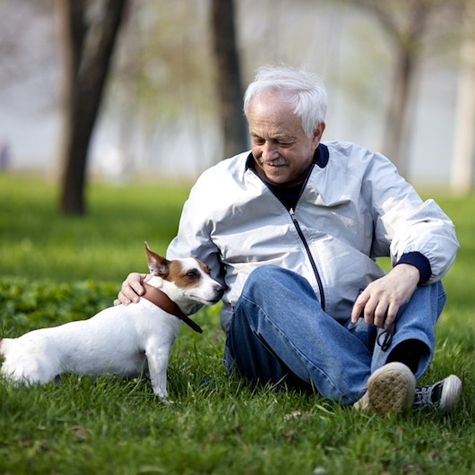 Yeni bir araştırmaya göre köpek sahibi insanların kalp krizi ve felç geçirme olasılığı daha düşük