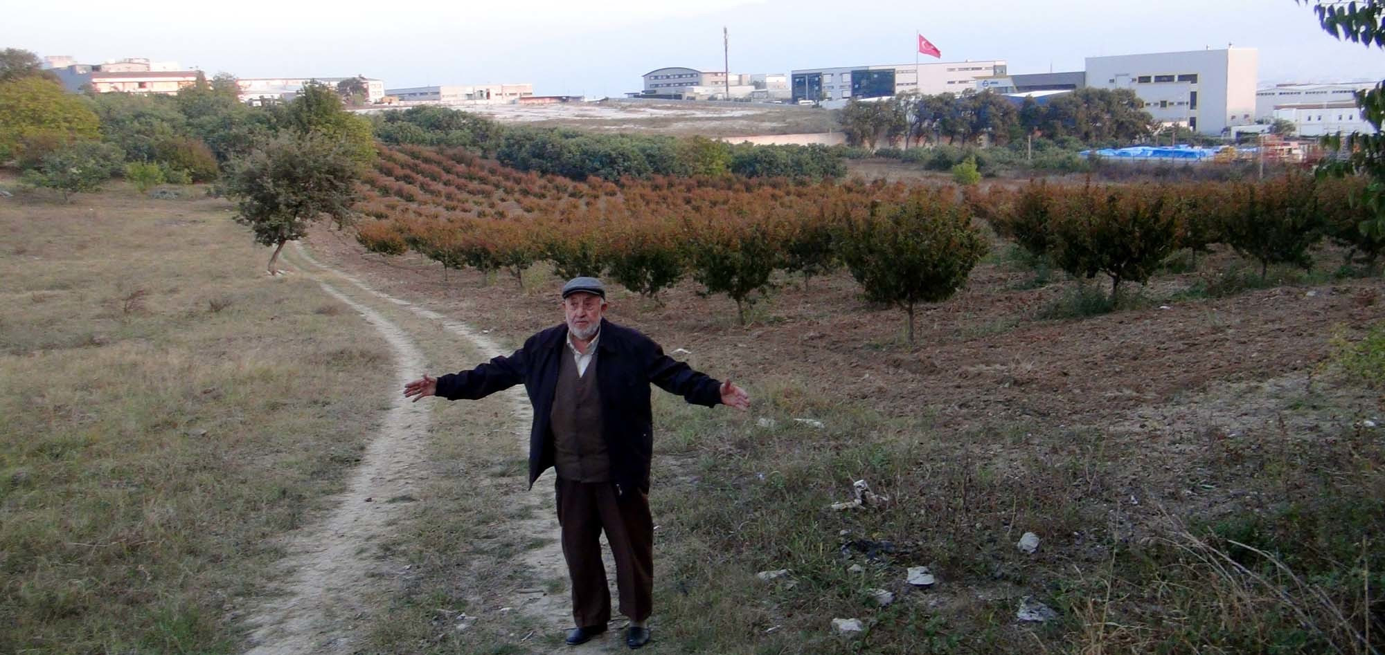 Dolandırıcılar, Mehmet Ali Cengiz'e benzeyen bir kişiyi bulup dublör olarak kullandı.