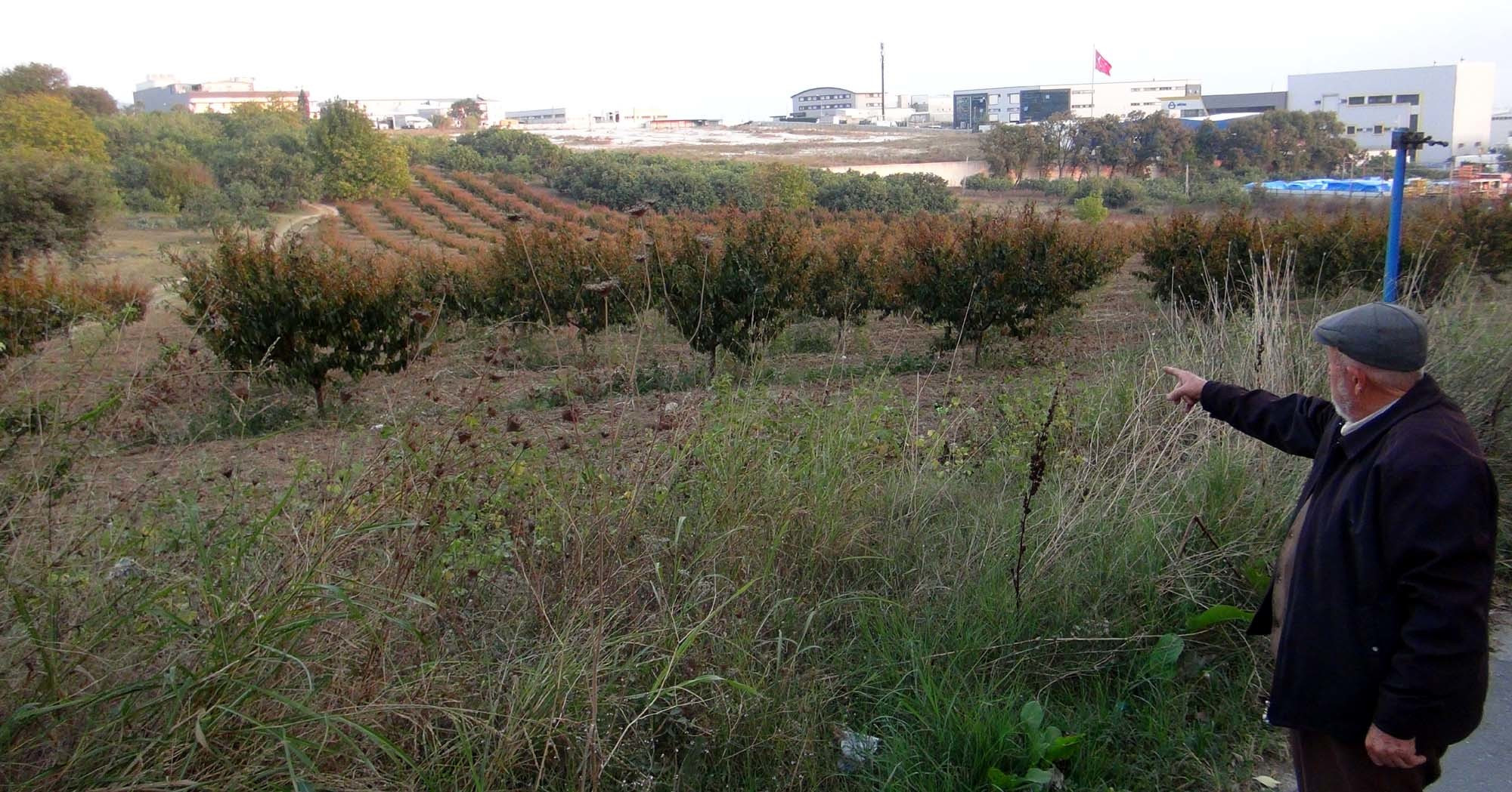 Nüfus kağıdını ele geçiren dolandırıcılar, 50 milyon liralık arazileri 100 bin liraya satışa çıkardılar.