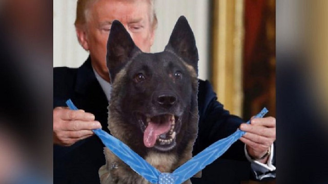 ترامب ينشر صورة "مركّبة" تظهره يُكرّم كلبًا شارك بعملية البغدادي