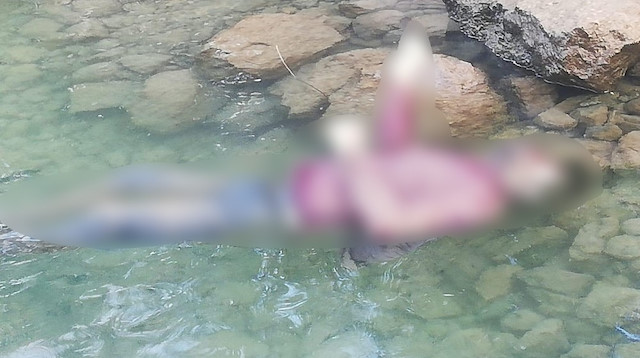 Cep telefonuyla manzarayı görüntüleyen turistler, suyun üzerinde bir erkek cesedi buldu. 