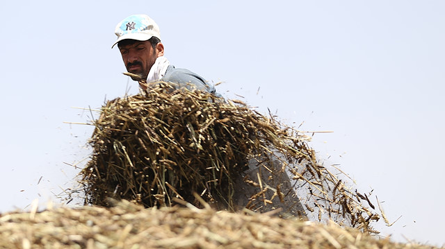 Bir hafta içinde üreticilere toplam 284 milyon liralık destek ödemesi yapılacak.