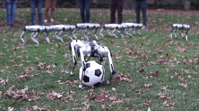MIT'nin yeni minik robotları futbol oynarken hünerlerini sergiliyor