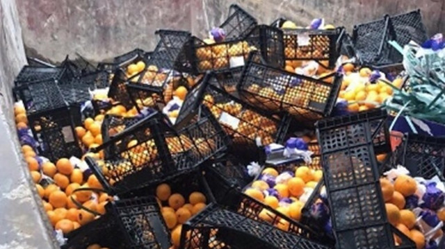 Rusya'ya gönderilen  21 ton mandalina imha edildi.
