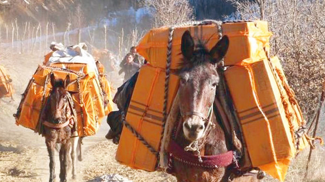 Kaçak sigaralar eşeklere yükleniyor.