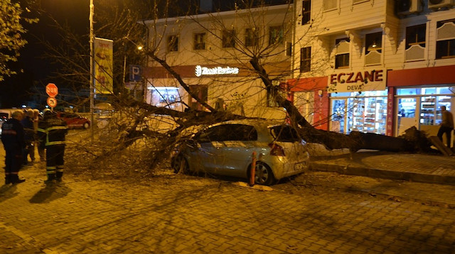 Tekirdağ'da dev ağaç otomobilin üzerine devrildi 