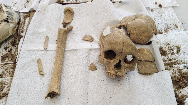 Archeologists discover 3,500-year-old skull 