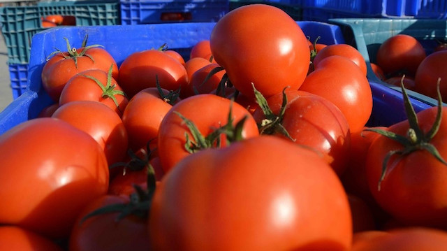 Kasım ayında domatesin fiyatı yüzde 16,07 arttı. 