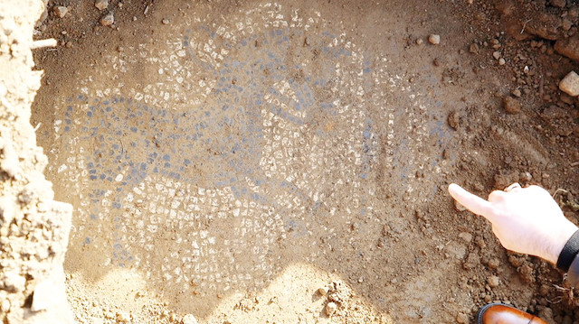 Üzerinde çeşitli hayvan motifleri ile yazıların yer aldığı Roma dönemine ait 2 bin 200 yıllık olduğu değerlendirilen yaklaşık 50 metrekare büyüklüğündeki mozaik, tarlada bulundu.