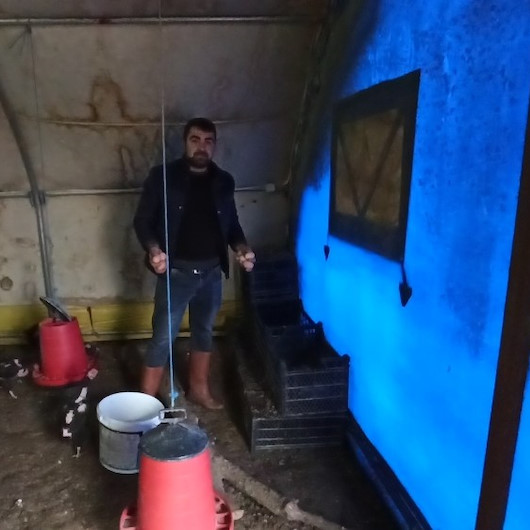 İşsiz kaldı, kendi imkanları ile tavuk çiftliği kurdu
