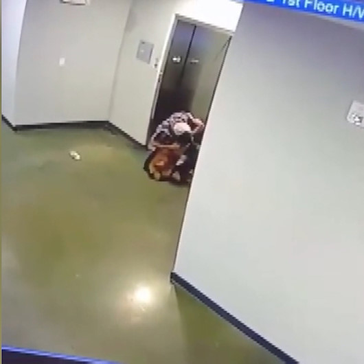 Tasması asansör kapısına sıkışan köpeği son anda kurtardı