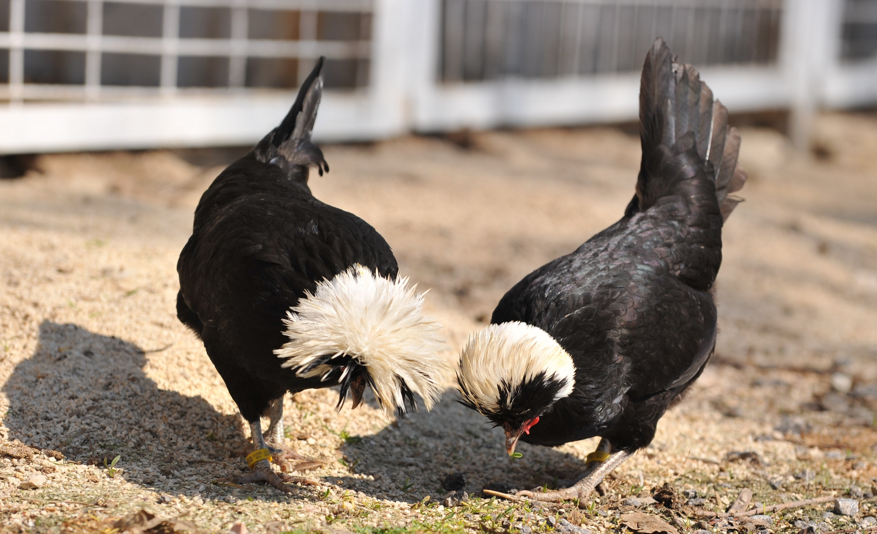 Z7sydhzmxcxxam Z7sydhzmxcxxam