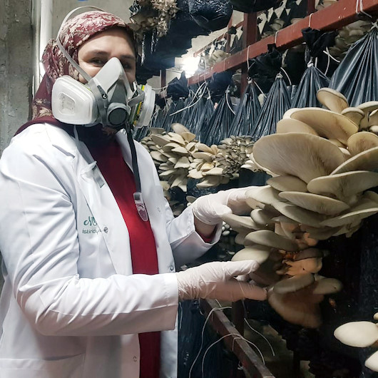 Üniversiteden mezun oldu evinin alt katında üretmeye başladı: Siparişlere yetişemiyor