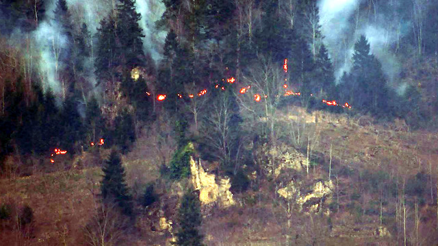 Karadeniz'de orman yangını sayısı 69'a yükseldi: 4 il yangınla boğuşuyor
