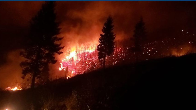 Karadeniz'in 4 ilinde orman yangınları çıktı. 