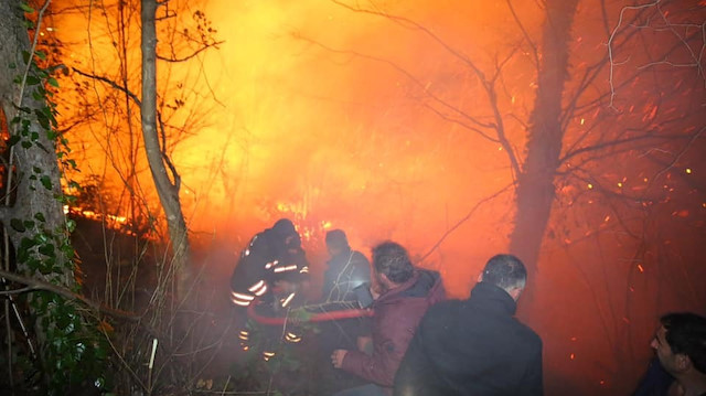 Karadeniz'de 5 ilde orman yangını