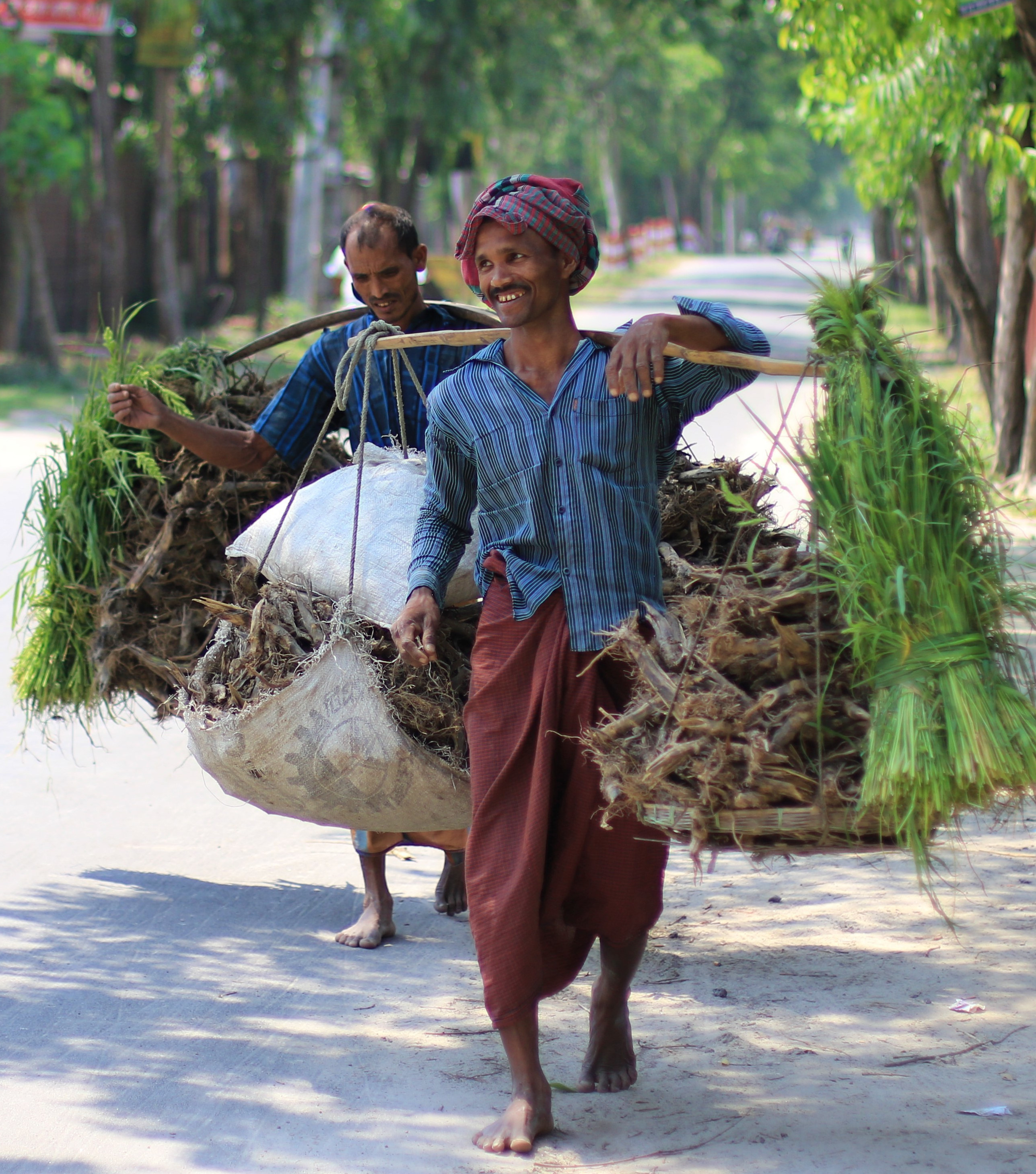 yoldaki tuhaflik banglades