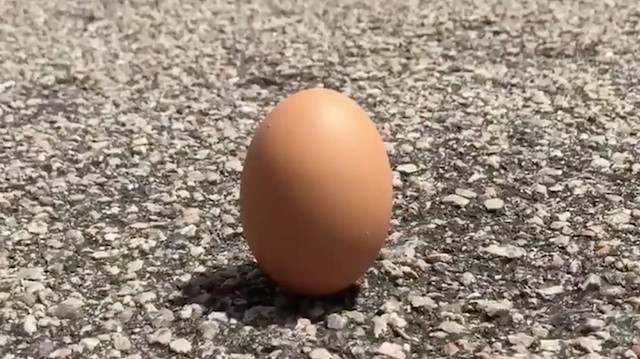 Egg stands during solar eclipse? Social media users investigates