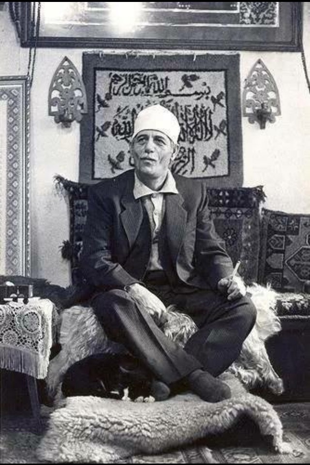 sark dunyasinin sirli kedileri