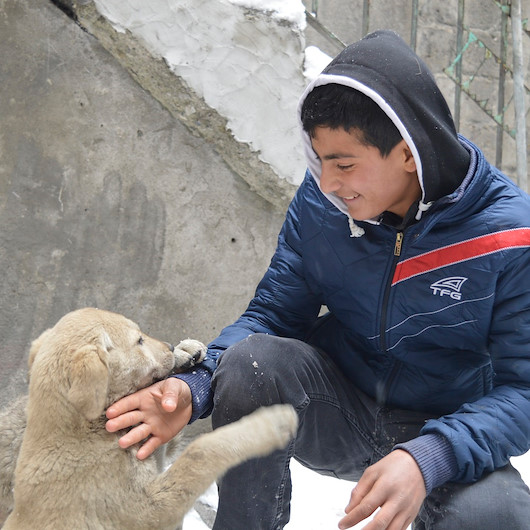Okuldan kalan vakitte restoranda çalışıyor: Kazancıyla sokak köpeklerini besliyor
