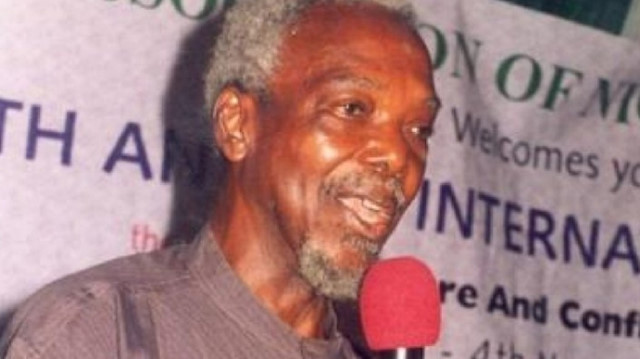 Nijeryalı yazar Prof. Vincent Chukwuemeka Ike 