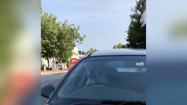 Arabada sıkılan köpek sahibini korna ile çağırdı