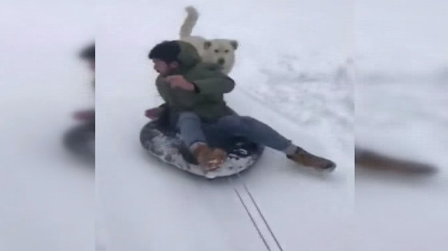 Eğlenmek isterken peşine köpek takıldı