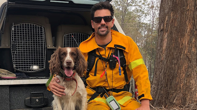 Taylor, a koala detection dog, poses for a photo with animal trainer Ryan Tate at bushfire-affected Taree, New South Wales, Australia, November 19, 2019, in this picture courtesy of Tate Animal Training Enterprises. Picture taken November 19, 2019.