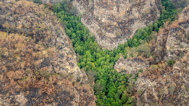File photo: An aerial view of Wollemi National Park where endangered Wollemi Pines are being protected from bushfires by a specialist team of remote-area firefighters and parks staff at New South Wales, Australia mid-January 2020