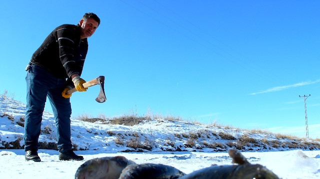 Kazma ve küreklerle buzu kırarak delik açan balıkçılar ağlarını ve torlarını buzun altına bırakıyor.