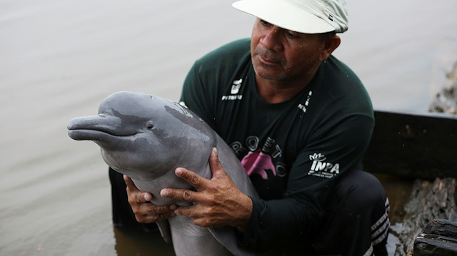 An assistant from Amazonian aquatic mammals project holds a baby of Amazon River Dolphin also known as Pink Dolphin at the Mamiraua reserve in Uarini, Amazonas state, Brazil January 20, 2020. Picture taken January 20, 2020