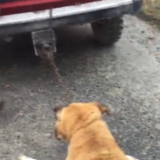 Vicdansız adam aracının arkasına zincirle bağladığı köpeği dakikalarca