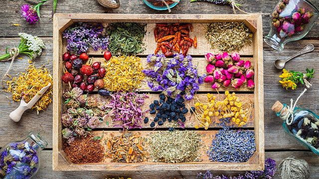 Aromaterapi nedir: Uçucu yağların şifa ve huzur veren kadim yolculuğu