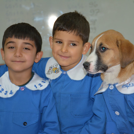 Yavru köpek Fındık okulun maskotu oldu