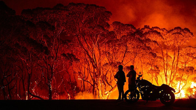Yangınlarda yaklaşık 6 milyon hektar geniş yapraklı orman yandı.