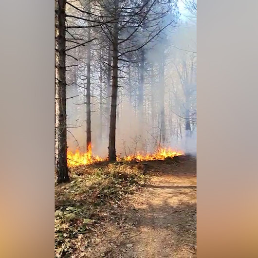 Belgrat Ormanında yangın