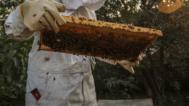 Turkish businessman's honey attracts customers worldwide